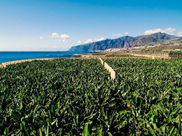 2 noches con desayuno incluido para 2 en Hotel Rural El Navío