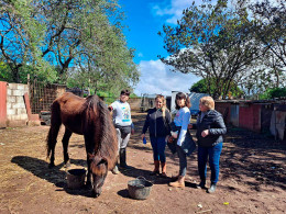 Sesión transformadora de equinoterapia
