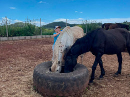 Sesión transformadora de equinoterapia