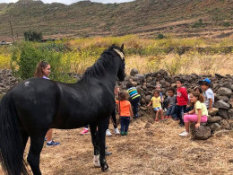 Sesión transformadora de equinoterapia