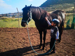 Sesión transformadora de equinoterapia
