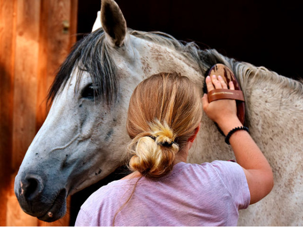 Sesión transformadora de equinoterapia