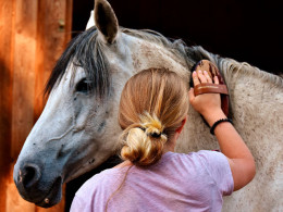 Sesión transformadora de equinoterapia