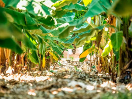 2 noches con desayuno incluido para 2 en Hotel Rural El Navío