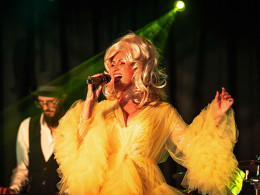 The Wild South - Arona