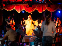 The Wild South - Arona