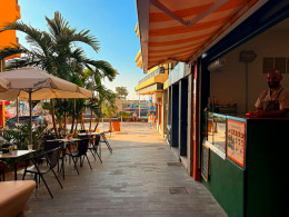 Libre - Puerto de la Cruz