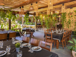 Menú gastronómico envuelto en naturaleza