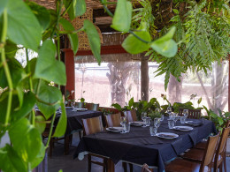 Menú gastronómico envuelto en naturaleza