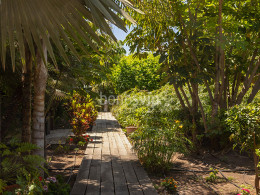 Menú gastronómico envuelto en naturaleza