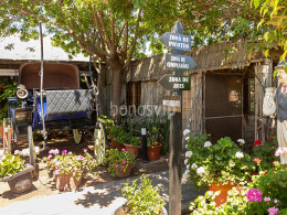 Menú gastronómico envuelto en naturaleza