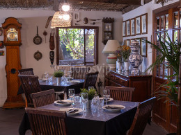 Agrocardón - Tejina