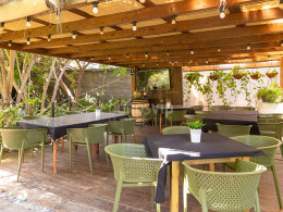 Agrocardón - Tejina