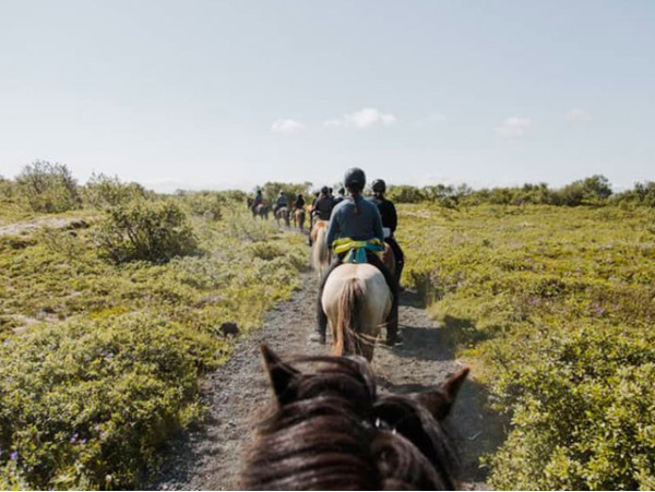 Paseo a caballo rodeado de vistas espectaculares con aperitivo + bebida