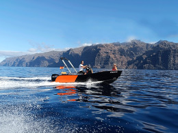 Anaga Boat - Los Gigantes