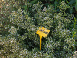 Brunch Km0 para 2 + visita en finca orgánica