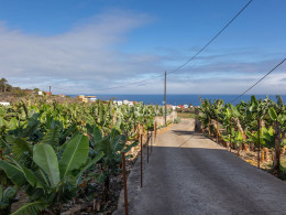 Brunch Km0 para 2 + visita en finca orgánica