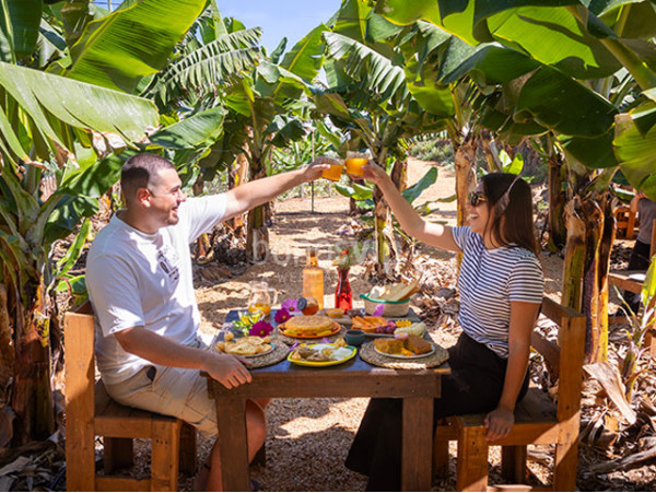 Brunch Km0 para 2 + visita en finca orgánica