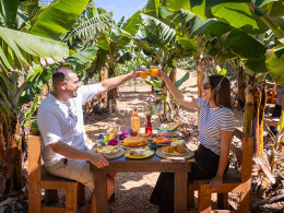 Brunch Km0 para 2 + visita en finca orgánica