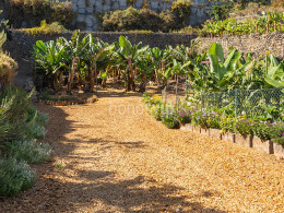 Brunch Km0 para 2 + visita en finca orgánica