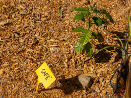 Brunch Km0 para 2 + visita en finca orgánica