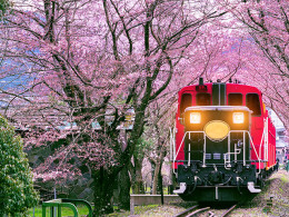 Tourismile - Tenerife