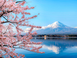 Tourismile - Tenerife