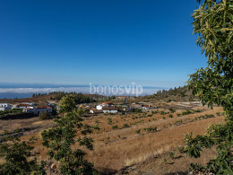 Hotel Alta Montaña - Vilaflor