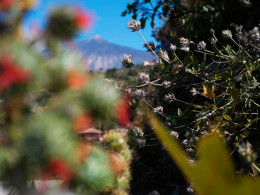 2 noches en casa rural para 2 con vistas al Teide