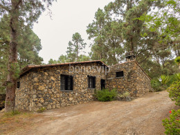 Monte Frío - Los Realejos