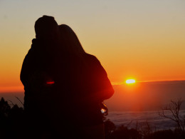 JDL Quad Tenerife - Granadilla