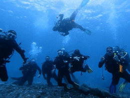 Iniciación al buceo o Curso de Open Water con certificado internacional 