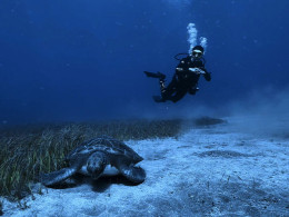 Iniciación al buceo o Curso de Open Water con certificado internacional 