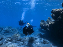 Iniciación al buceo o Curso de Open Water con certificado internacional 