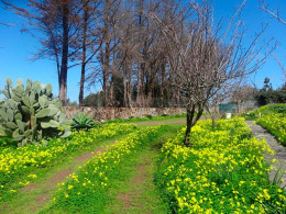 Estancia para 1 o 2 noches en una cabaña en El Sauzal
