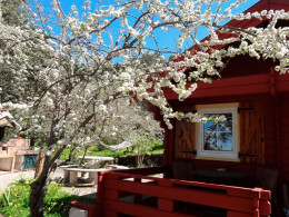 Estancia para 1 o 2 noches en una cabaña en El Sauzal