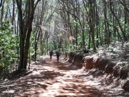 Estancia para 1 o 2 noches en una cabaña en El Sauzal