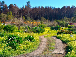 Estancia para 1 o 2 noches en una cabaña en El Sauzal
