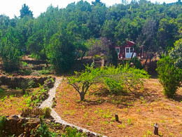 Estancia para 1 o 2 noches en una cabaña en El Sauzal