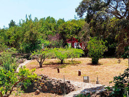Casa Rural la Gustoza - El Sauzal