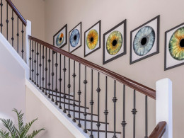 Fotografía e impresión de tu iris ¡Haz de tu ojo una obra de arte!