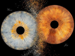 Iristellar - Costa Adeje