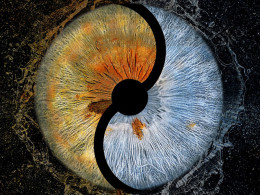 Iristellar - Costa Adeje