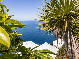 Serendipia - El Sauzal