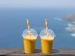 Serendipia - El Sauzal