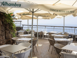 Serendipia - El Sauzal