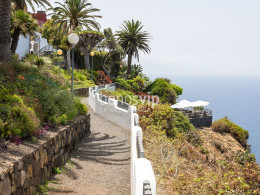 Serendipia - El Sauzal