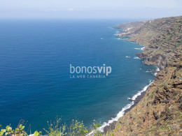 Serendipia - El Sauzal