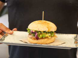 Serendipia - El Sauzal