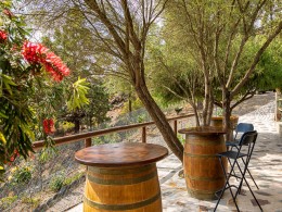 Menú para 2 con cata de vinos + visita a la bodega